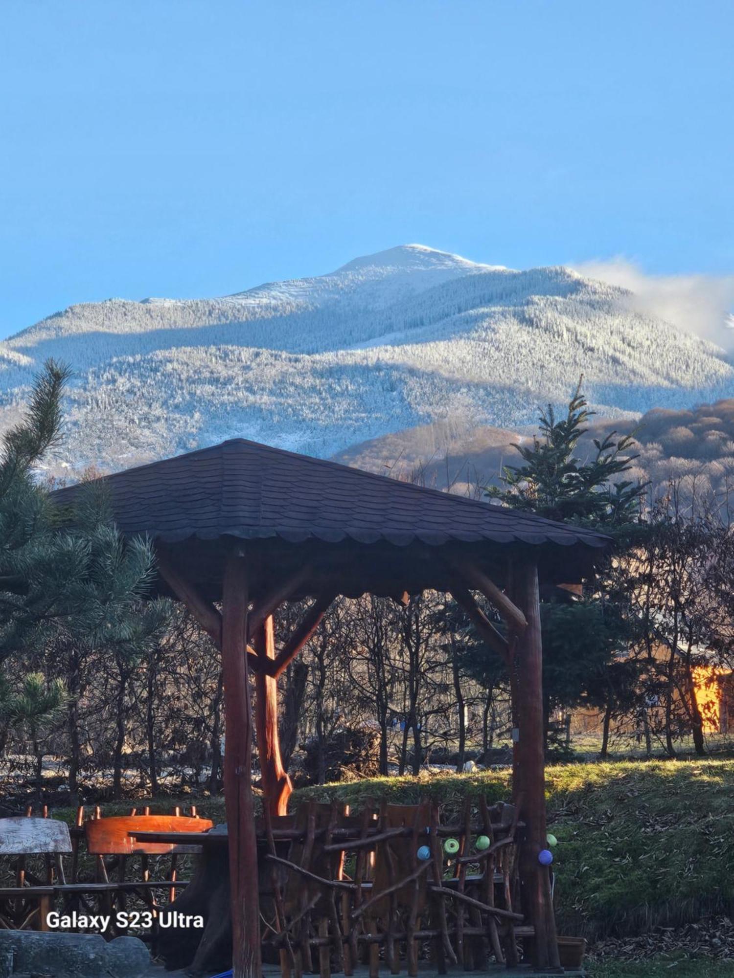 Casa De Vacanta Marin Arpaşu de Sus Esterno foto