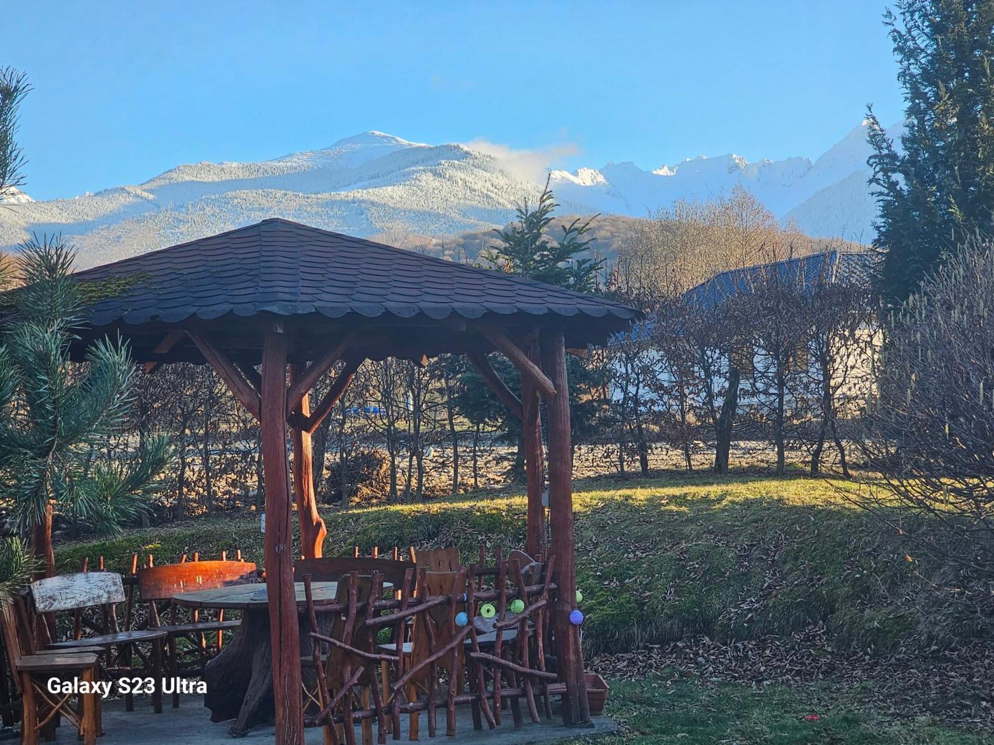 Casa De Vacanta Marin Arpaşu de Sus Esterno foto