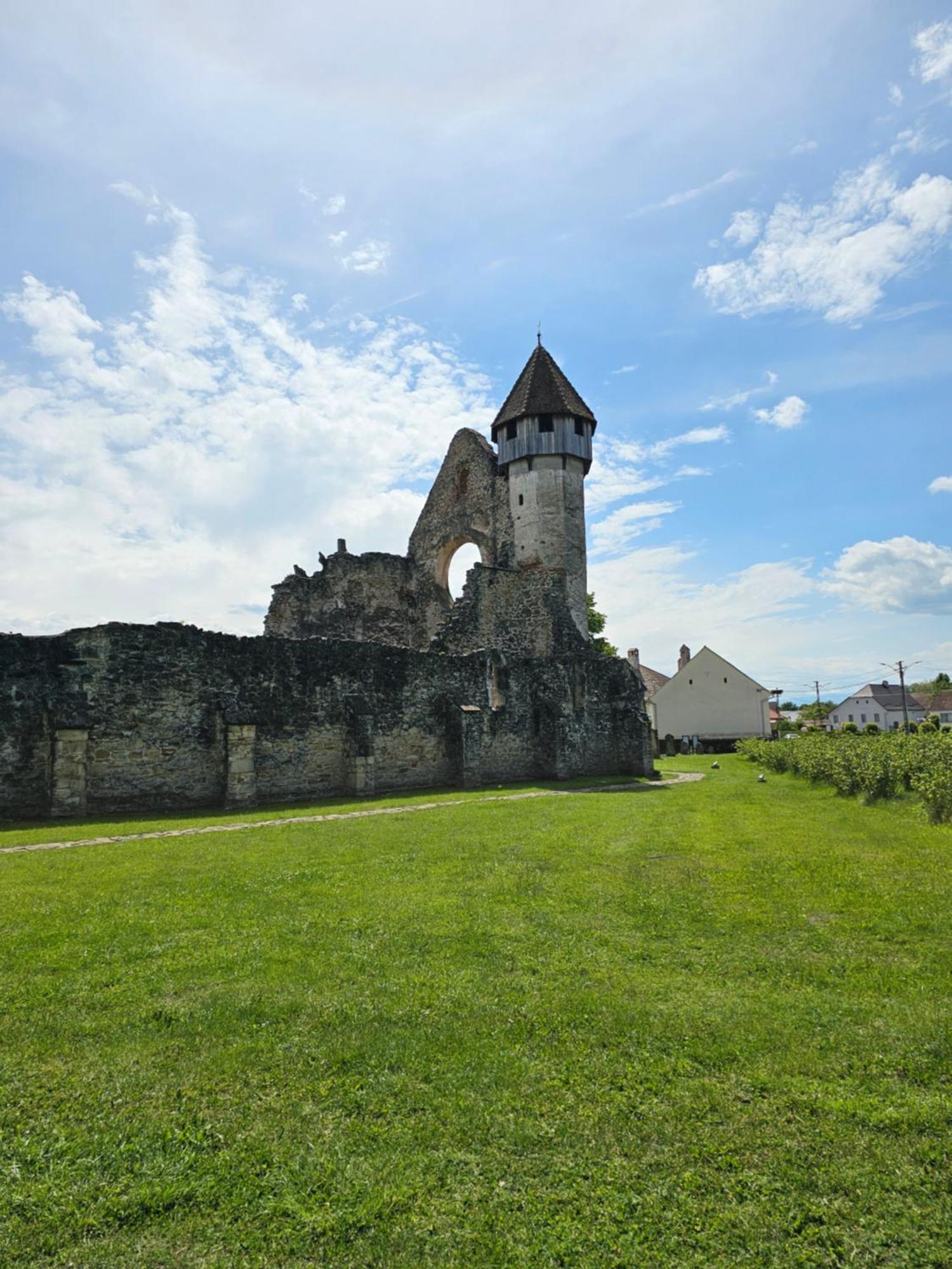 Casa De Vacanta Marin Arpaşu de Sus Esterno foto