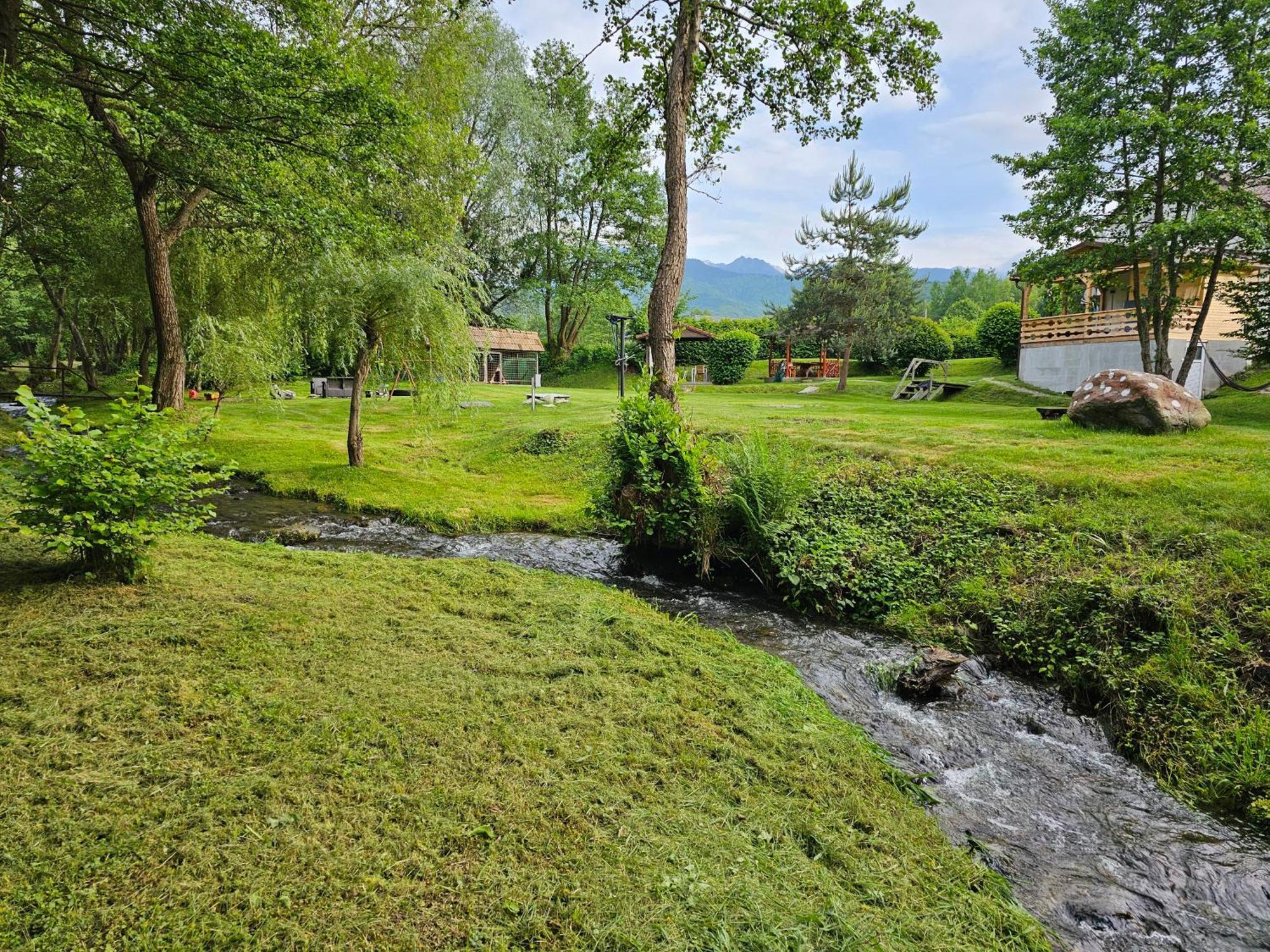 Casa De Vacanta Marin Arpaşu de Sus Esterno foto