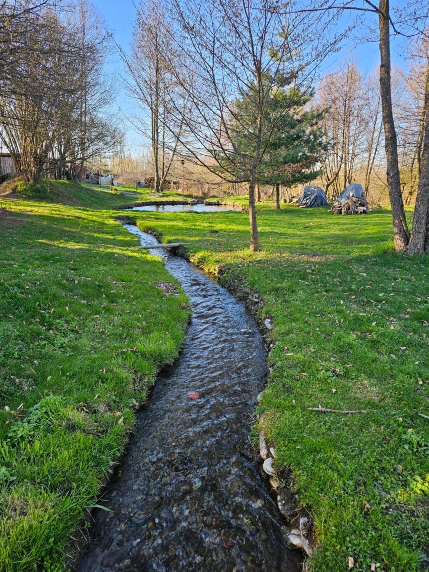 Casa De Vacanta Marin Arpaşu de Sus Esterno foto