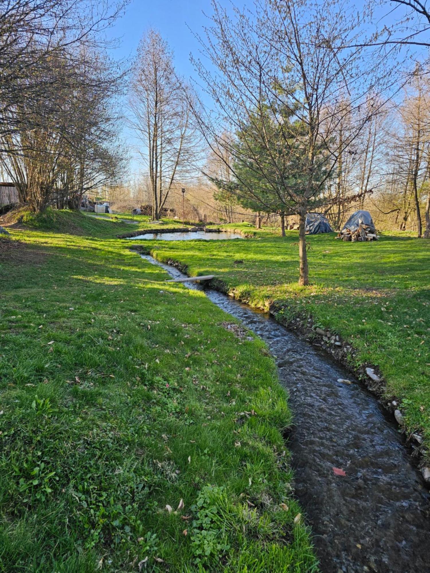 Casa De Vacanta Marin Arpaşu de Sus Esterno foto