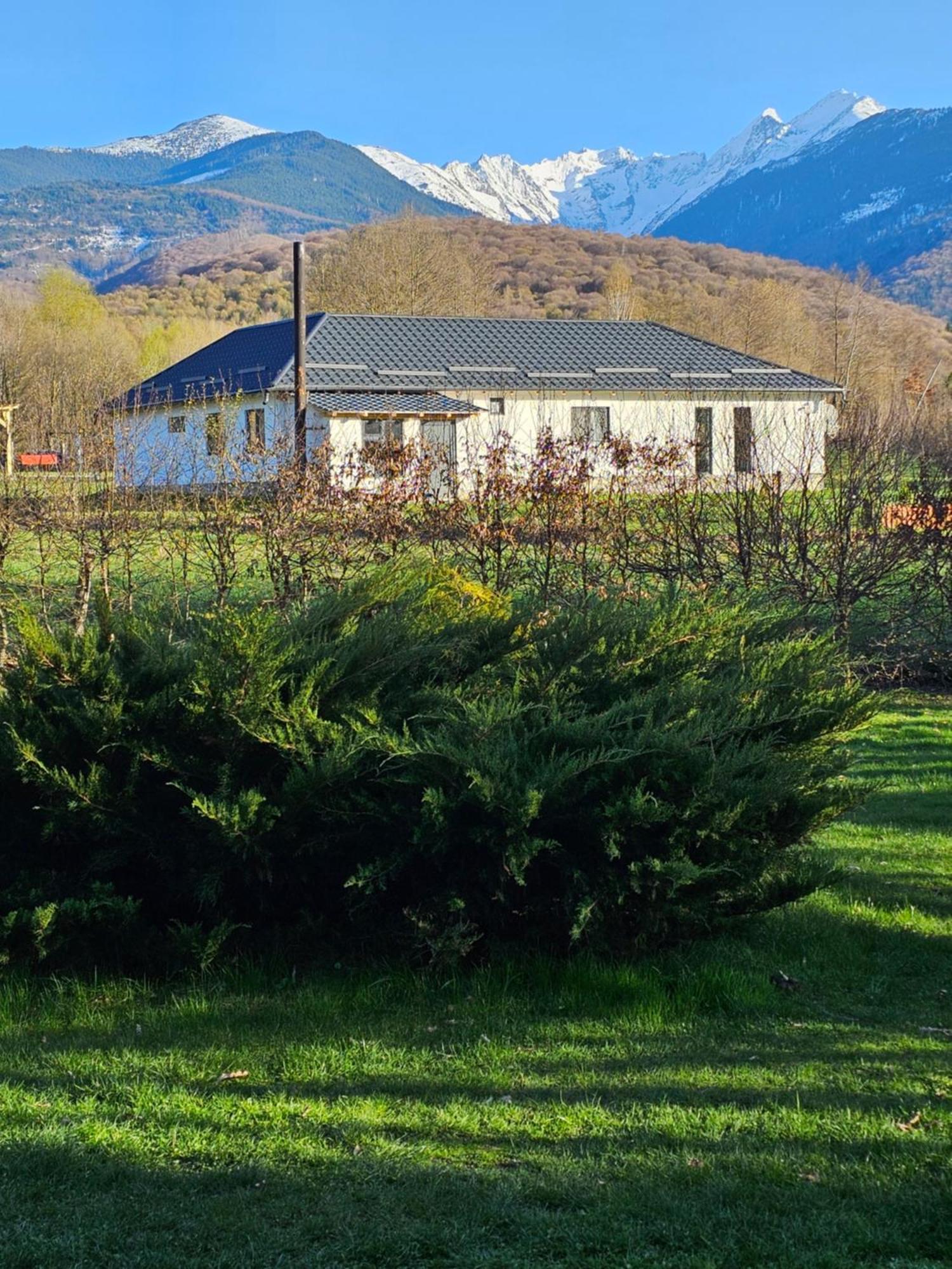 Casa De Vacanta Marin Arpaşu de Sus Esterno foto